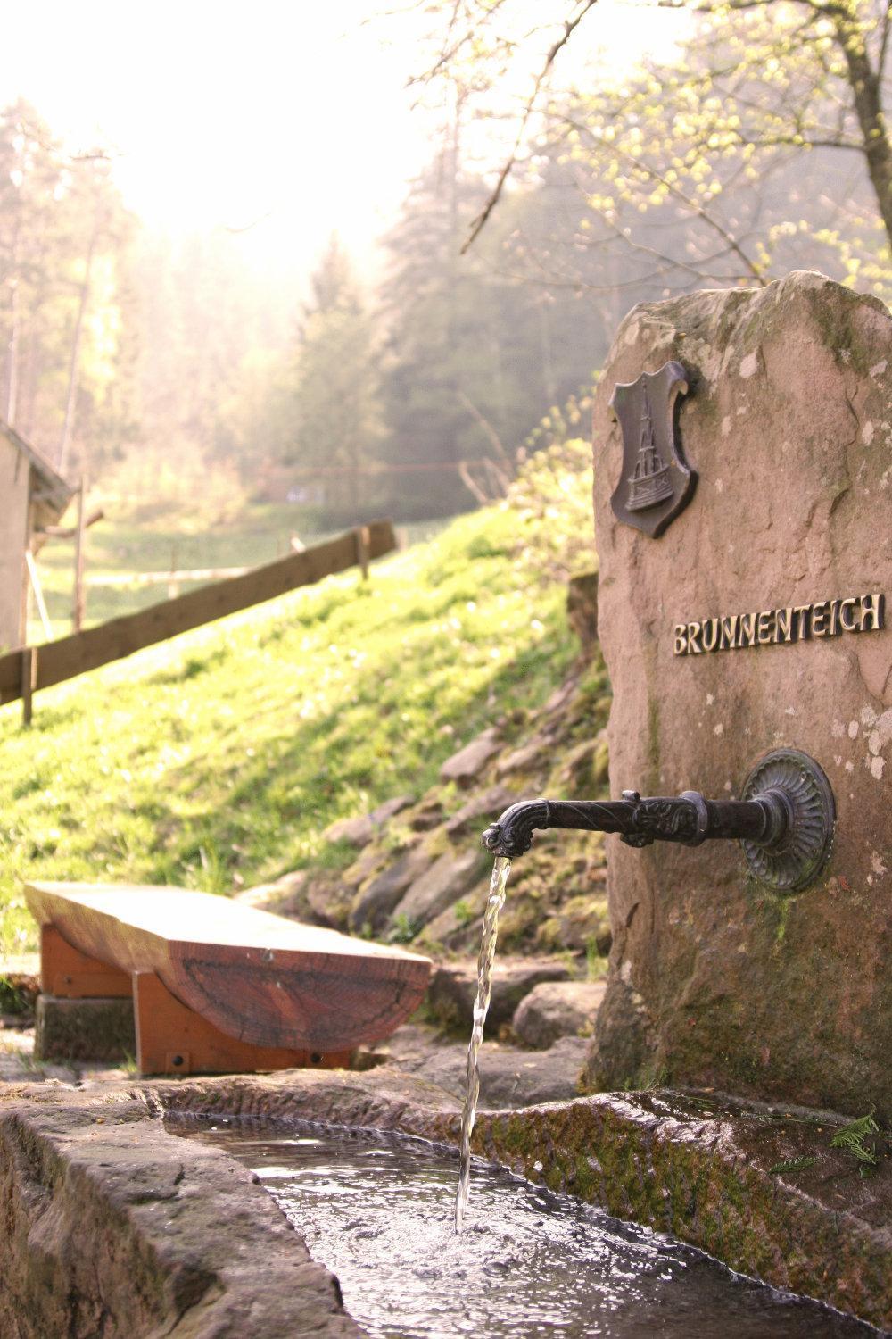 Hotel Restaurant Falken Baiersbronn Dış mekan fotoğraf